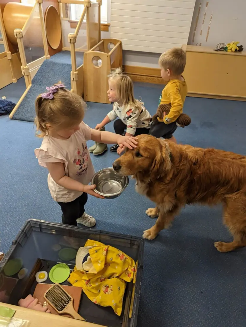 A girl strokes Heidi the golden retriever and gives her water, while other children watch.